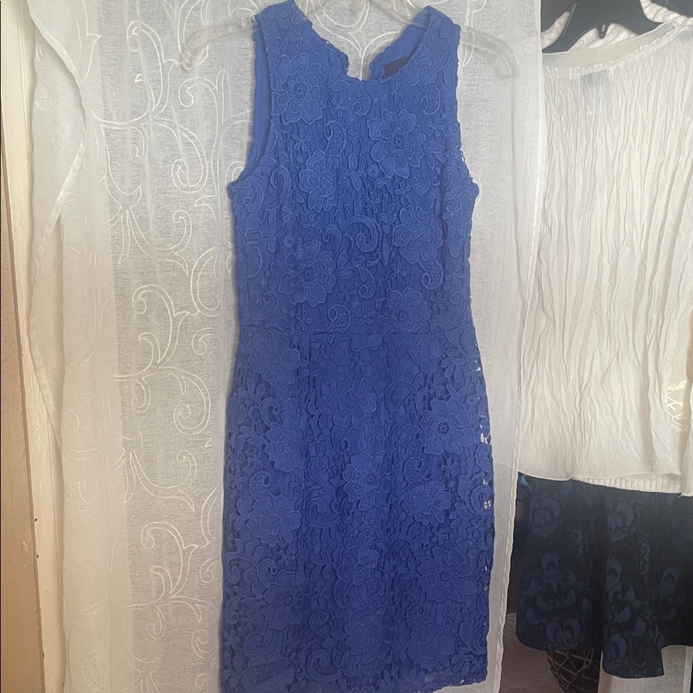 J. Crew Royal Blue Floral Lace Midi Dress